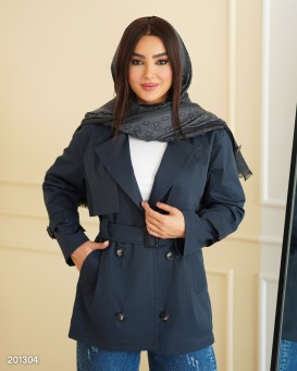 بارونی مدل پژواک