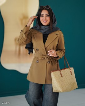 بارونی مدل آرات